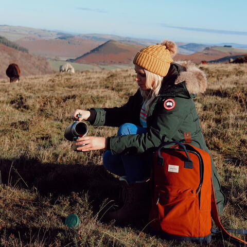 Hergest Ridge