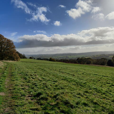 Bromyard Downs Walk