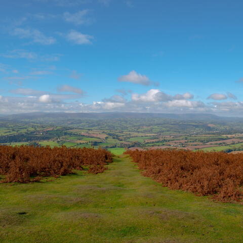 garway hill