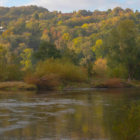 wye valley