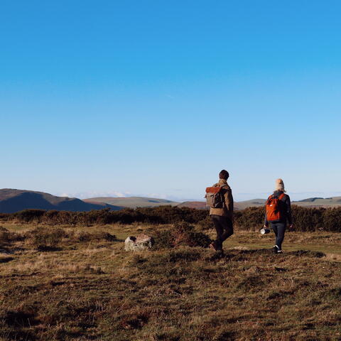 Hergest Ridge