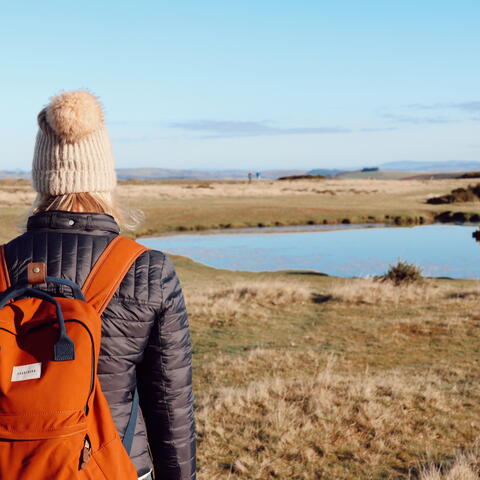 Hergest Ridge