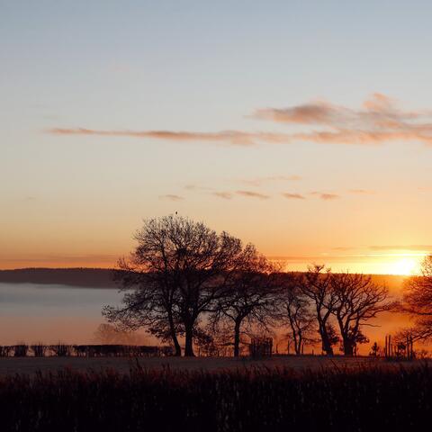 sunrise herefordshire