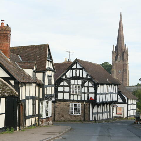 Black and white village