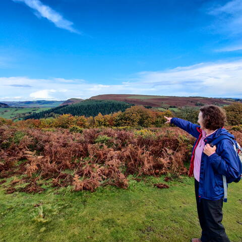 Hergest Ridge