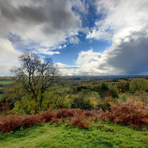 Hergest Ridge