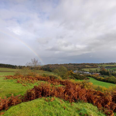 Hergest Ridge