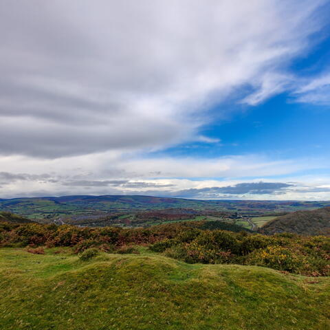 Hergest Ridge