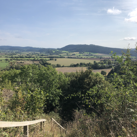mortimer country