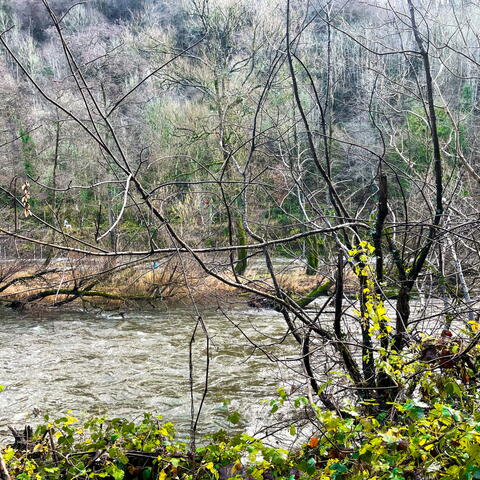 symonds yat