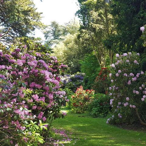 Hedge Croft Gardens 