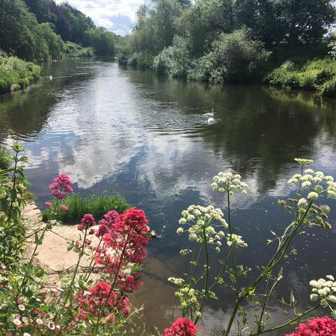 The Weir Garden