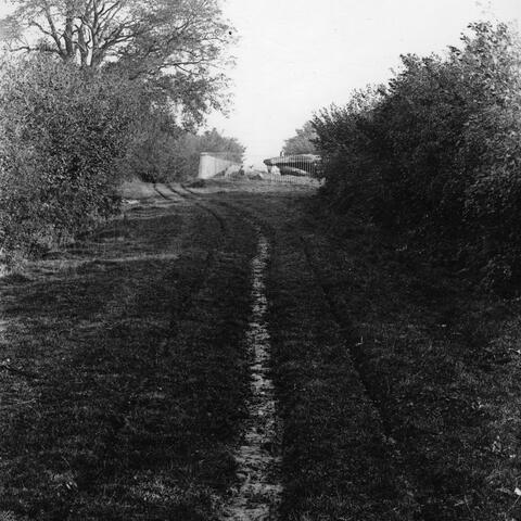 Dorstone, lane to Arthur's Stone