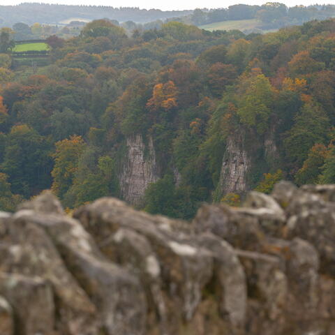 symonds yat