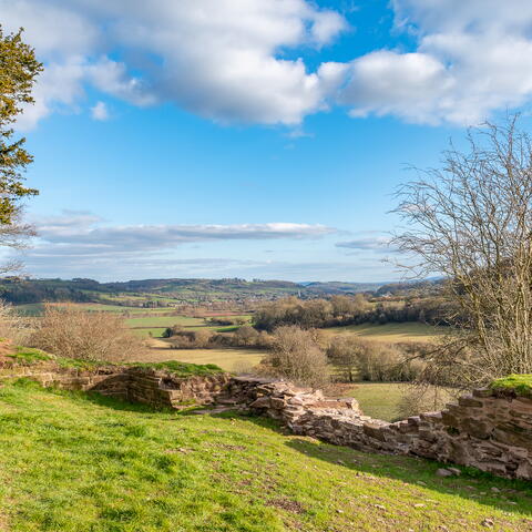 Scenic shot of rolling hills with Snodhill castle ruins in foreground