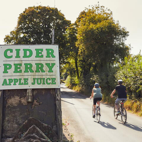 cider