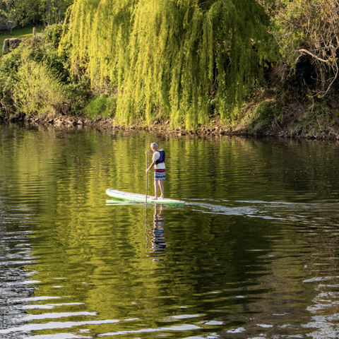 Paddle Boarding