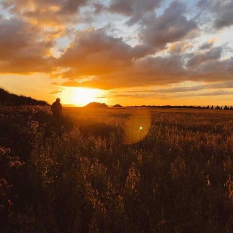 golden hour herefordshire