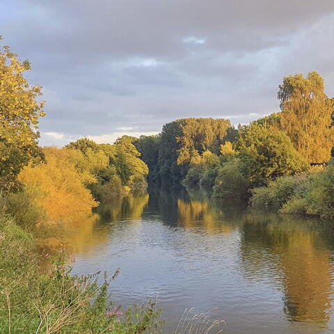 Breinton Springs (Photo credit: Laura Jones)