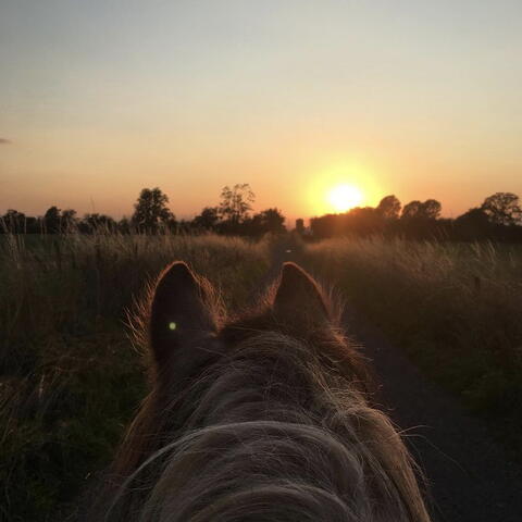 Risbury (Photo credit: Maddie Pony)