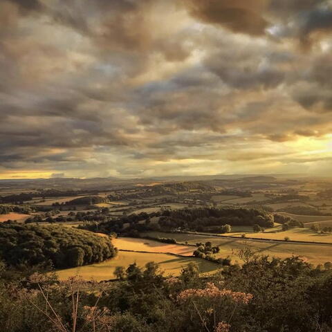 Much Marcle Ridge (Photo credit: Ollie Crunchdog)