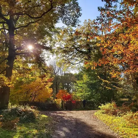 Queenswood Arboretum