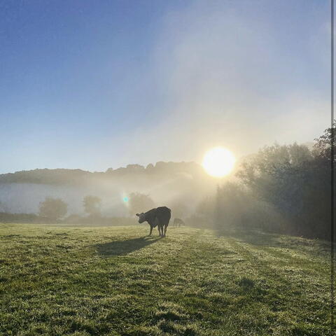 River Wye at Welsh Bicknor (Photo credit: Wye Organic)