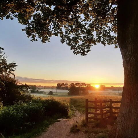 Emilyraw91 Lugg Meadows