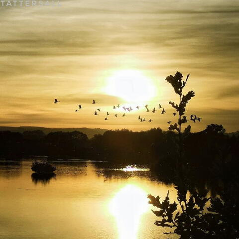 Susan Tattesall Brockhall Quarry 2