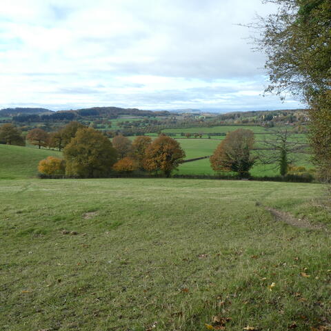 Marcle Ridge and Woolhope Dome