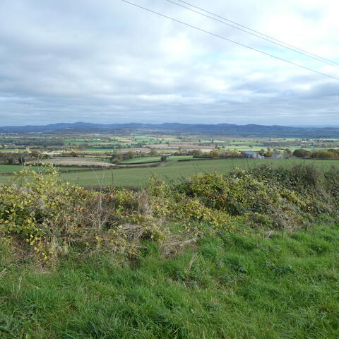 Marcle Ridge and Woolhope Dome