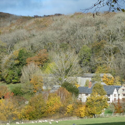 Marcle Ridge and Woolhope Dome