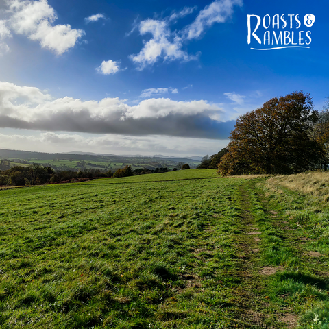 Bromyard Downs