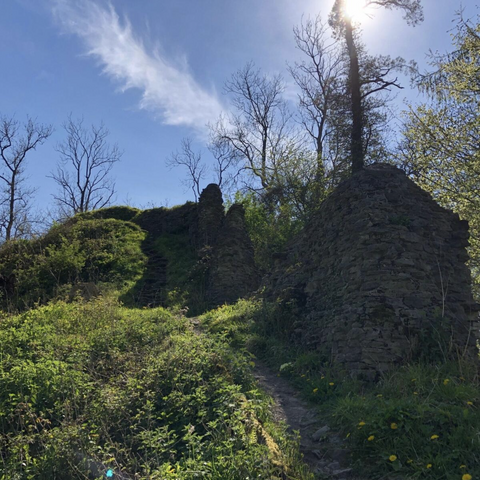 Richard's Castle Ruins