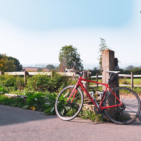 Parked bike