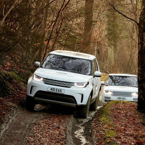 Landrover through forest