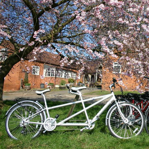 Tandem Bicycle 