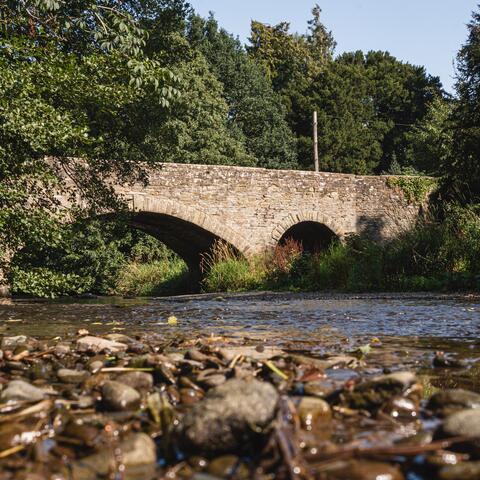 River arrow at Pembridge