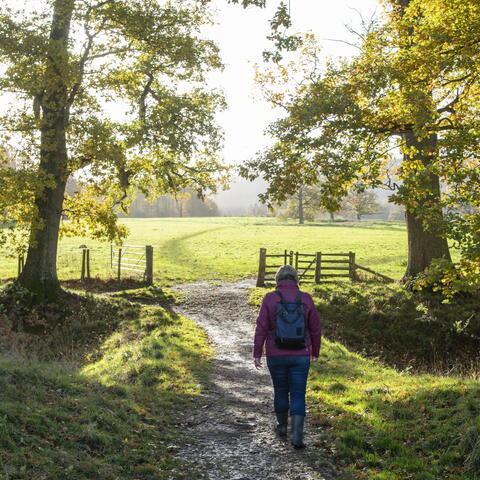 Person walking