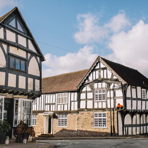 Lavender Blue with Annie Mac's Tea Room, Weobley