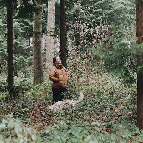 Walking through Moccas Wood