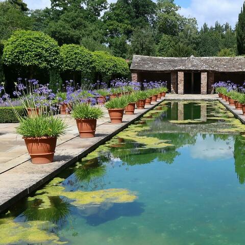 Rectangular pool with potted plants at edges