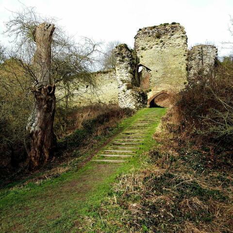 The ruins of an entrance to a castle with grass walkway and winter trees