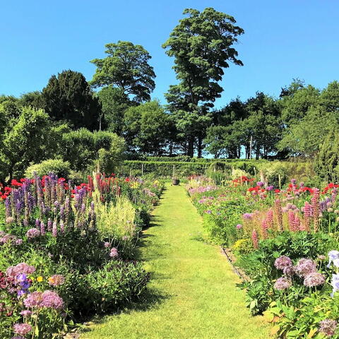 Garden walkway surrounded by flowers on a sunny day