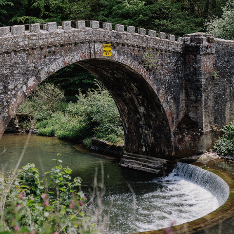 Downton Gorge Bridge