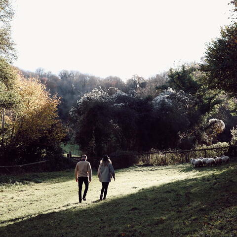 Wythall Estate walking