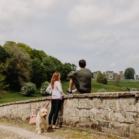 Downton Castle Estate