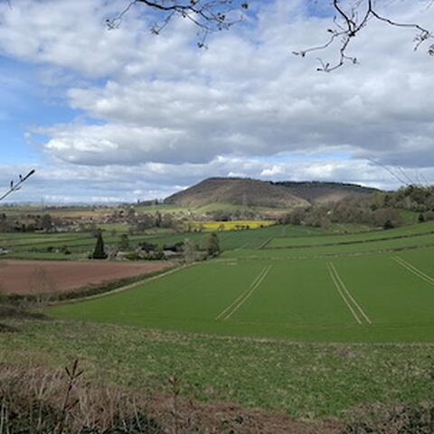 Wythall Estate Wine Walk