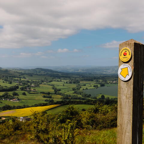 Herefordshire Trail waymarker