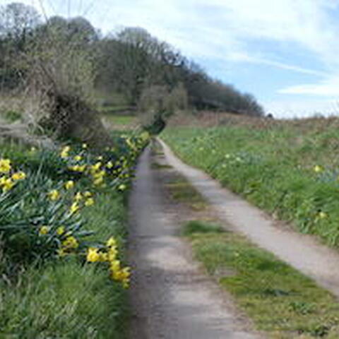 Wythall Estate Wine Walk spring flowers